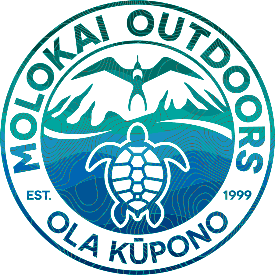 Top-Final-Colors-10.3-01